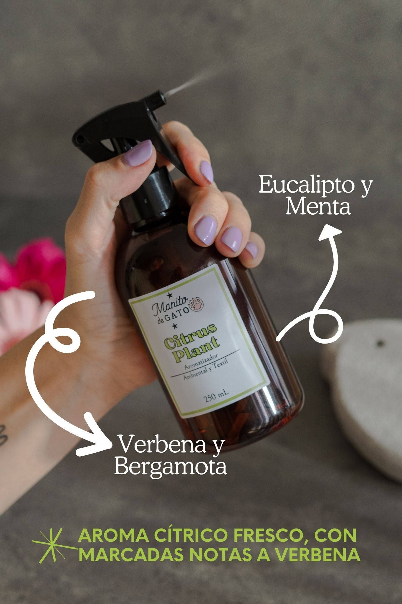 Aromatizante 250 mL